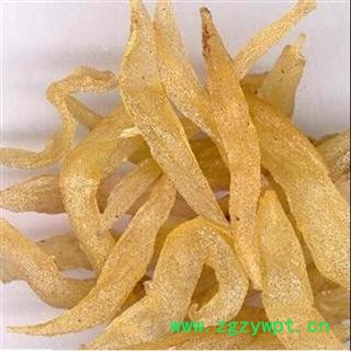 天冬 统 产地 广西壮族自治区图3