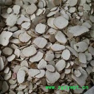 白芷 统 产地 河北省图2