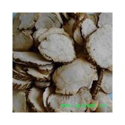 白芷 统 产地 河北省