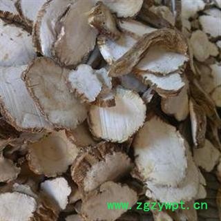 白芷 统 产地 河北省图3