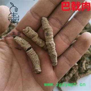 产地直销巴戟肉 各种规格巴戟  产地 广东省图2