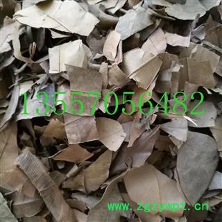 横经席 统货 产地 广西壮族自治区玉林市市辖区图3