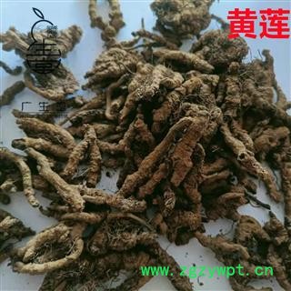 产地直销黄连 黄连单枝统货 产地 四川省图2