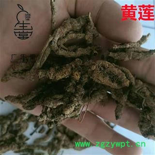 产地直销黄连 黄连单枝统货 产地 四川省图4