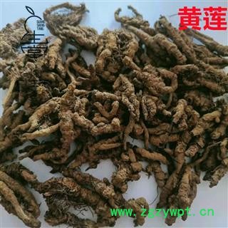 产地直销黄连 黄连单枝统货 产地 四川省图3