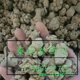 三七35头 水洗三七35头 标准35头春七 滑头 足干 未打蜡（1斤正好35个） ( 下单送量勺 )产地直销 云南省文山壮族苗族自治州文山市图4