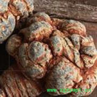 三七20头 水洗三七 标准20头春七  足干 未打蜡（1斤正好20个） ( 下单送量勺 ) 产地直销 云南省文山壮族苗族自治州文山市图4