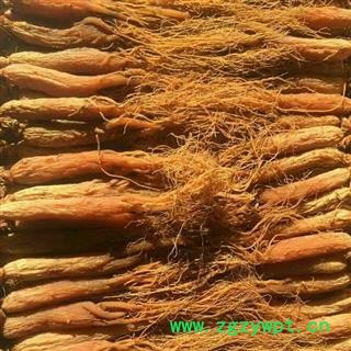 红参80支 红参低农残纯无糖80支 产地 吉林省白山市抚松县图2