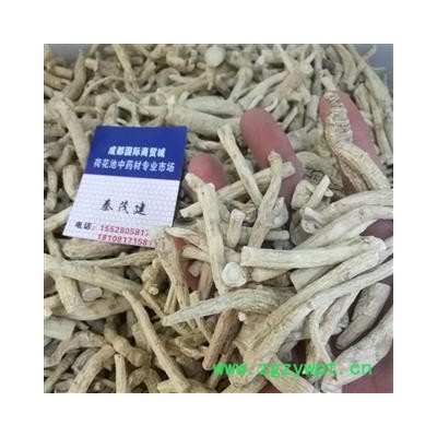 西洋参根条打粉专用  西洋参断支打粉专用 产地 吉林省白山市抚松县