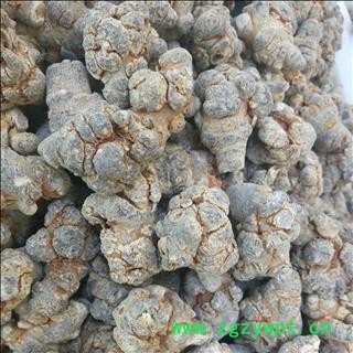 三七30头 水洗三七 标准30头春七 滑头 足干 未打蜡（1斤正好30个） ( 下单送量勺 )产地直销 云南省文山壮族苗族自治州文山市图3