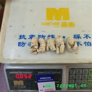 西洋参10克粒头 西洋参粒头10g 产地 吉林省白山市抚松县图2