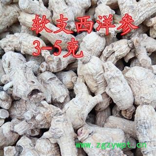 西洋参 西洋参软支粒头3-5克，产地直供假一赔十 产地 吉林省白山市抚松县图3