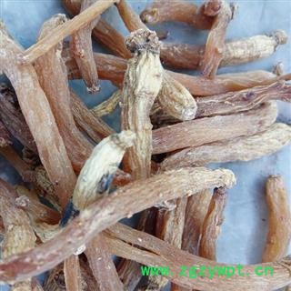 红参 纯无糖红参45支，产地直供，假一赔十 产地 吉林省白山市抚松县图3