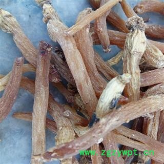 红参 纯无糖红参45支，产地直供，假一赔十 产地 吉林省白山市抚松县图2