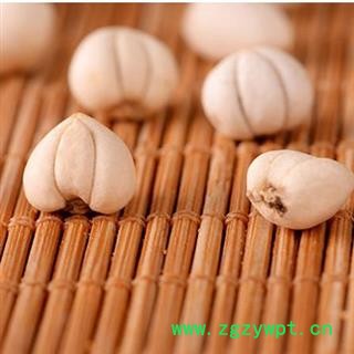 川贝母 川贝母 统货 产地 四川省四川阿坝野生种植图4