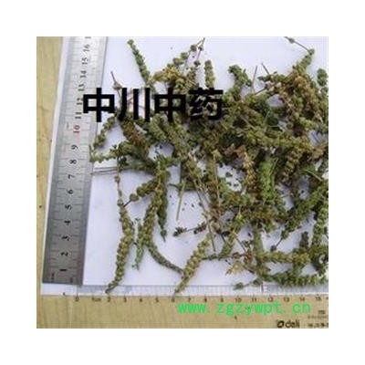 荆芥穗，河北统货，库存5000可售