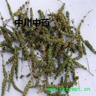 荆芥穗，河北统货，库存5000可售图2