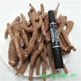 川白芷之遂宁白芷红皮四级小条 道地白芷 产地直销 常年有大货 遂宁市船山区图4