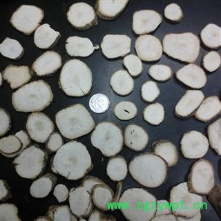 川白芷之遂宁白芷特一级选装圆片 道地白芷 产地直销 常年有大货 遂宁市船山区图4