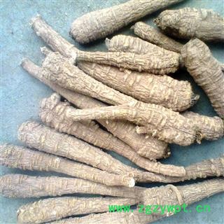 川白芷之遂宁白芷无硫红皮白芷大选装个子 道地白芷 产地直销 常年有大货 遂宁市船山区图2