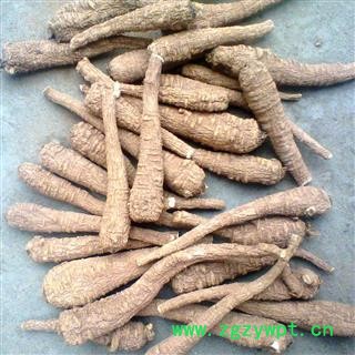 川白芷之遂宁白芷无硫红皮白芷大选装个子 道地白芷 产地直销 常年有大货 遂宁市船山区图3