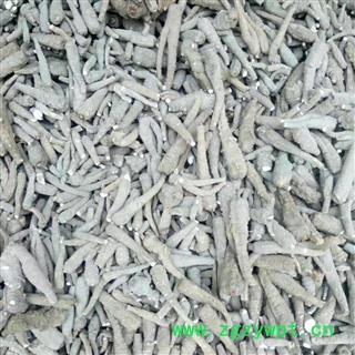 川白芷之遂宁白芷原装统货 道地白芷 产地直销 常年有大货 遂宁市船山区图4