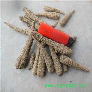 川白芷之遂宁白芷原装统货 道地白芷 产地直销 常年有大货 遂宁市船山区图3