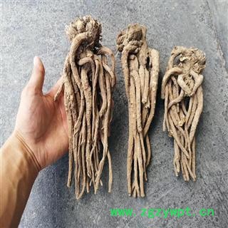精品大当归，3个一斤，无硫好货，适合高档店铺/药店零售图4