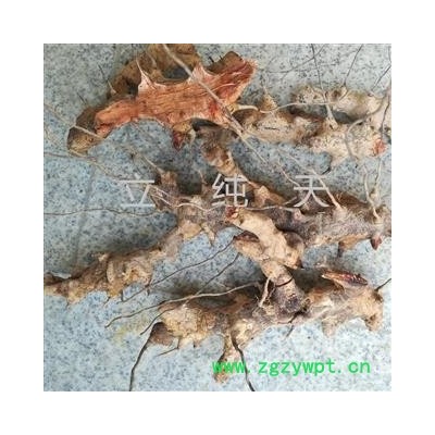 野生新鲜菝葜 菝葜根铁菱角金钢刺根 统货 产地 湖北省黄冈市