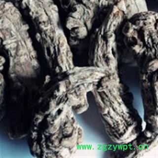 当归 甘肃产地 当归头15头撞皮无硫 货源充足常年供应  产地销售 无硫磺加工 山区无污染绿色种植 光照充足 生长年份满 牲畜粪便肥料施肥 药性更强 无虫蠹 保存库房干燥通风 产地 甘肃省宕昌县图2