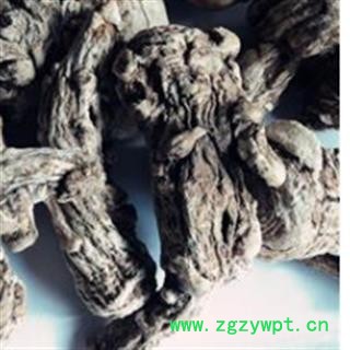 当归 甘肃产地 当归头40头撞皮无硫 货源充足常年供应  产地销售 无硫磺加工 山区无污染绿色种植 光照充足 生长年份满 牲畜粪便肥料施肥 药性更强 无虫蠹 保存库房干燥通风 产地 甘肃省宕昌县图2