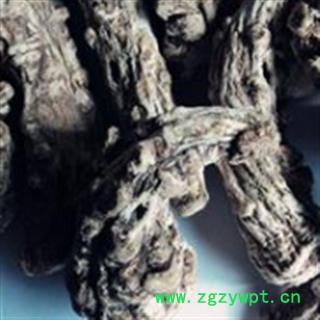 当归 甘肃产地 当归头40头撞皮无硫 货源充足常年供应  产地销售 无硫磺加工 山区无污染绿色种植 光照充足 生长年份满 牲畜粪便肥料施肥 药性更强 无虫蠹 保存库房干燥通风 产地 甘肃省宕昌县图3