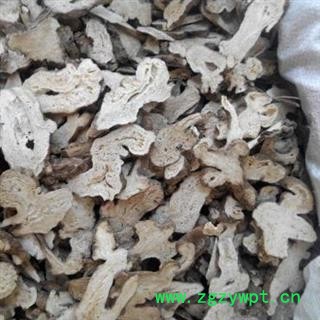 白术 大统片 产地 安徽省图4