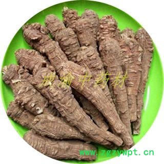 红皮白芷 一二三级选货 重庆市图3