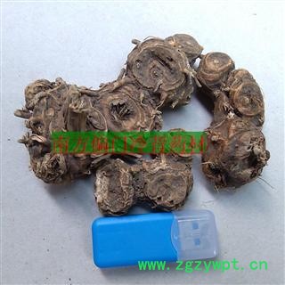 八角莲 统货 产地 广西壮族自治区崇左市龙州县图3