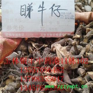 别名：睇牛仔，黄药 统货 产地 广西壮族自治区柳州市市辖区图3