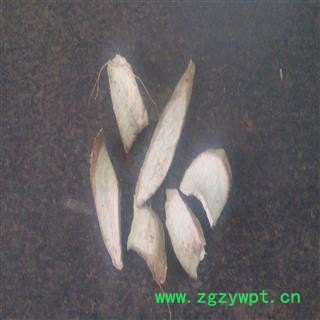 粉罗伞 统 产地 广西壮族自治区贵港市平南县图2