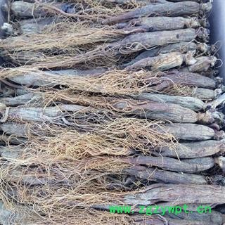 红参 全须无糖红参20支，30支，40支纯干，无 产地 吉林省白山市抚松县图2