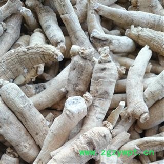 西洋参 西洋参长支20-30g 产地 吉林省白山市抚松县图2