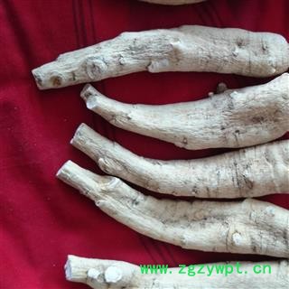 西洋参 西洋参长支20-30g 产地 吉林省白山市抚松县图3