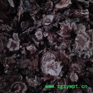 红景天 小花红景天，选货 ，产地 青海省、西藏、四川图3