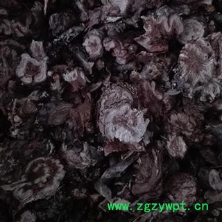 红景天 小花红景天，选货 ，产地 青海省、西藏、四川图2