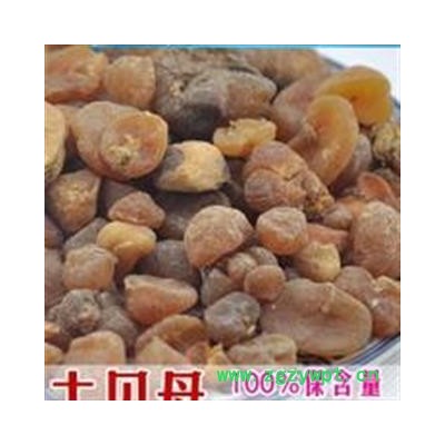 土贝母 又名:土贝,大贝母,地苦胆 药用绝对干保含量