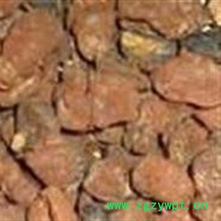 土贝母 又名:土贝,大贝母,地苦胆 药用绝对干保含量图2