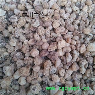 山慈菇，统装图3