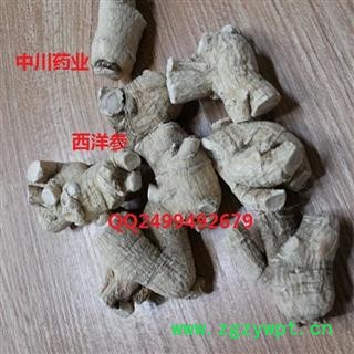 西洋参  国产短硬支10克 产地吉林  库存500可售图2