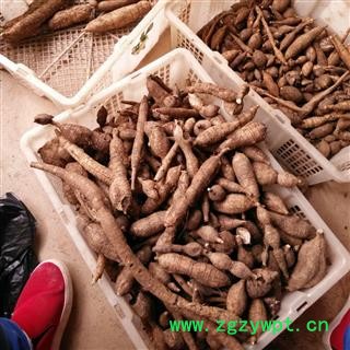 牛大力 选片 产地 广西壮族自治区南宁市上林县图2