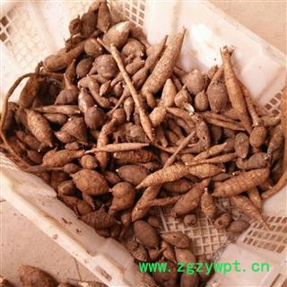 牛大力 选片 产地 广西壮族自治区南宁市上林县图4