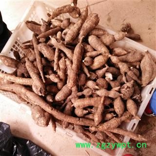 牛大力 选片 产地 广西壮族自治区南宁市上林县图3