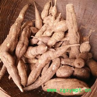 牛大力 选片 产地 广西壮族自治区南宁市上林县